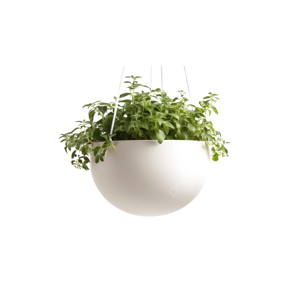 Collection of Hanging Pot in a gallery layout