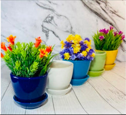 Collection of Ceramic Plate Pots For Planters in a gallery layout