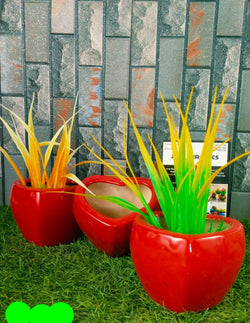 Collection of Ceramic Dill Pots For Planters in a gallery layout