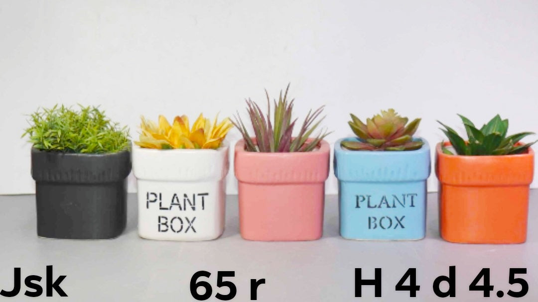 Collection of Ceramic Plant Box Pots For Planters in a gallery layout