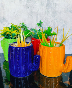 Collection of Ceramic Cactus Pots For Planters in a gallery layout